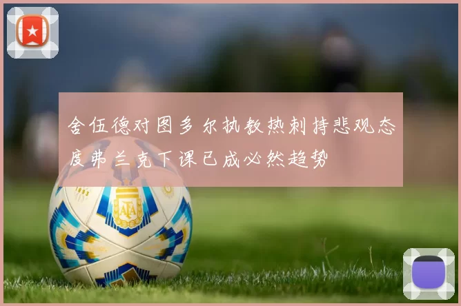 舍伍德对图多尔执教热刺持悲观态度弗兰克下课已成必然趋势